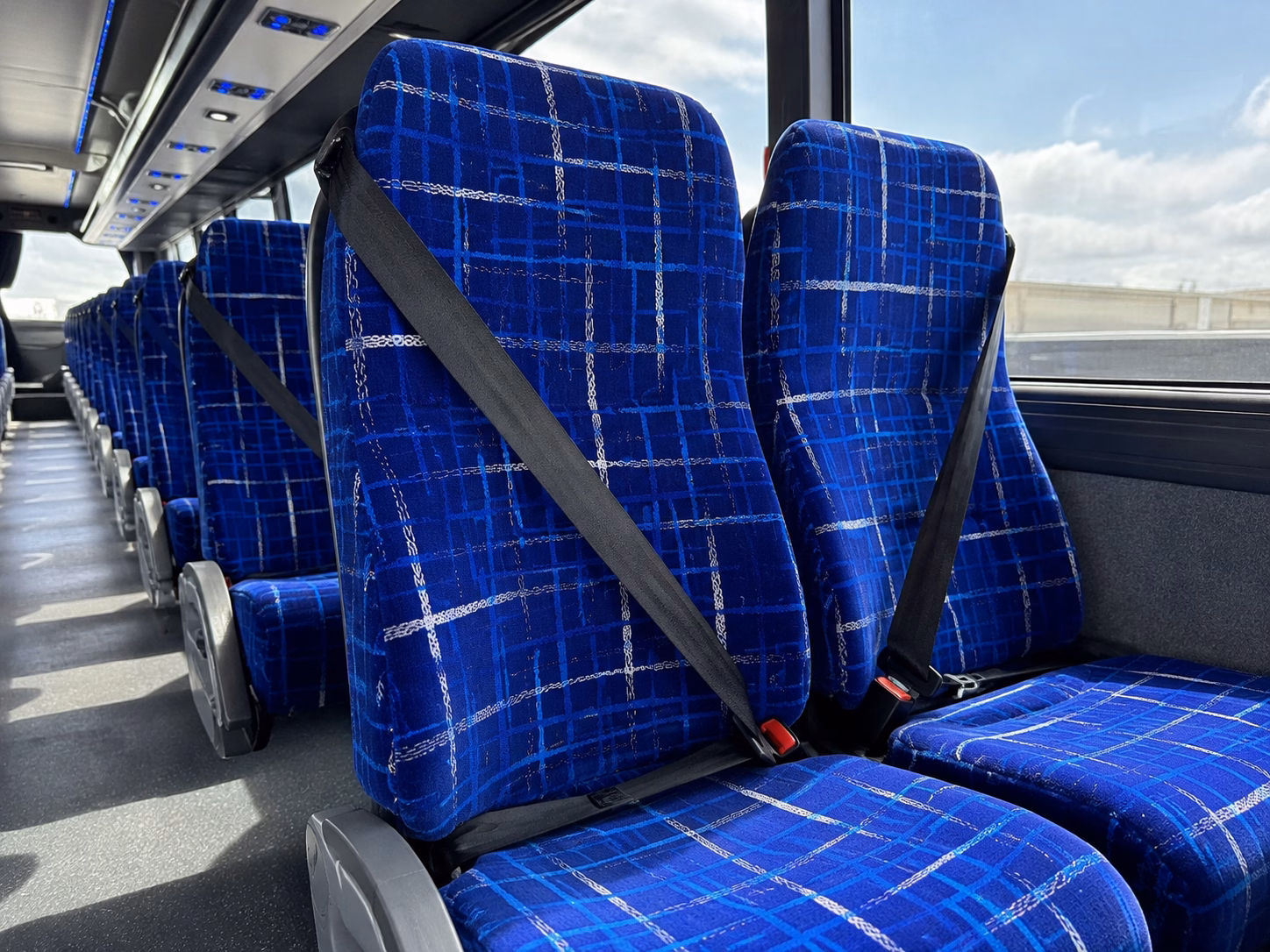 kaneohe charter buses